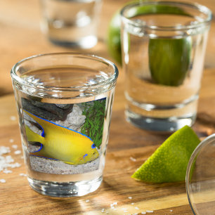Verre A Shot Photo de poisson-ange jaune et bleu de la reine
