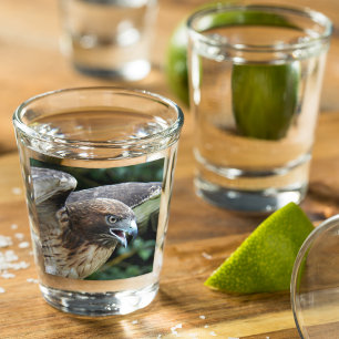 Verre A Shot Photo Raptor Hawk à queue rouge