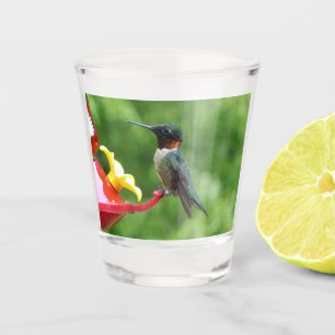 Verre A Shot Photographie d'oiseau Colibri à gorge rubis