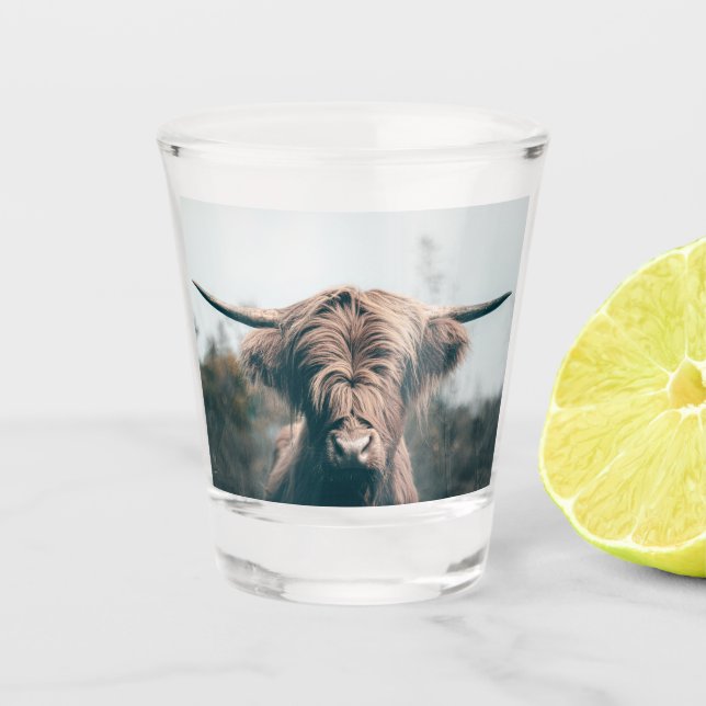 Verre A Shot Portrait de vache Highland (Devant)