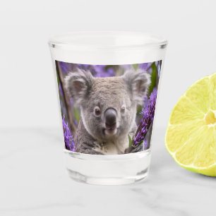 Verre A Shot Purple Jacaranda Koala Ours,
