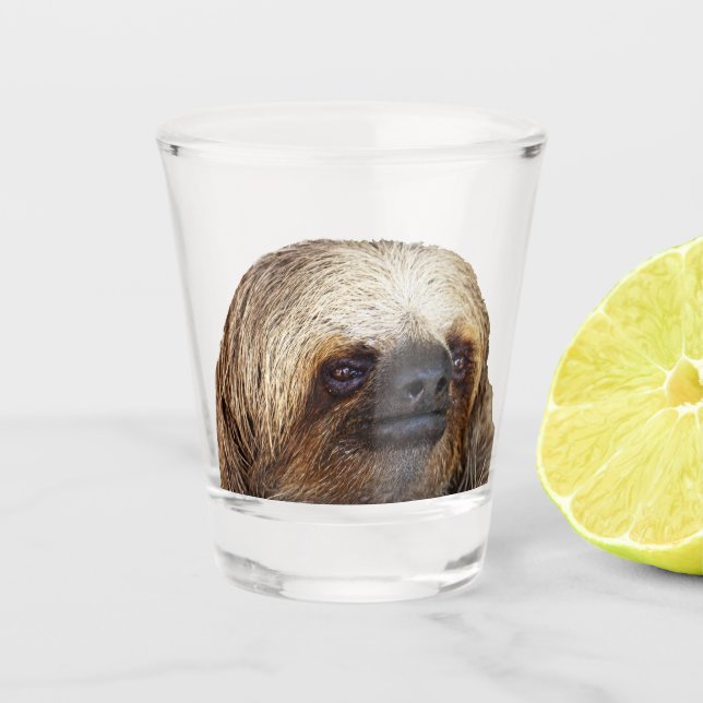 Verre A Shot Sloth (Devant)