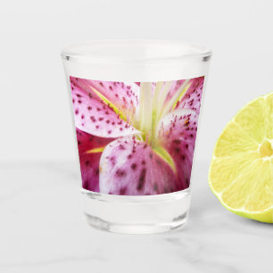 Verre A Shot Stargazer Lily brillant Magenta Floral