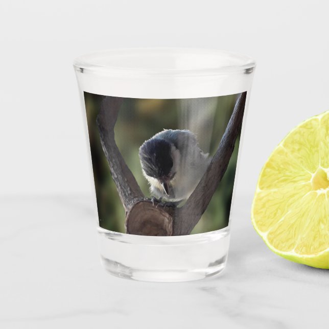 Verre A Shot Tidi my Bird le Parus Major (Devant)