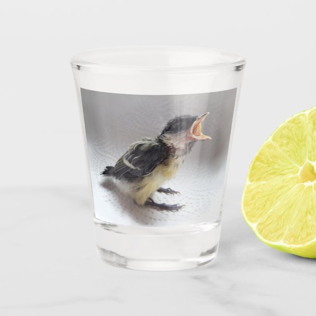 Verre A Shot Tidi my Bird le Parus Major (Devant)