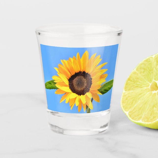 Verre A Shot Tournesol jaune contre soleil sur ciel bleu - été (Devant)