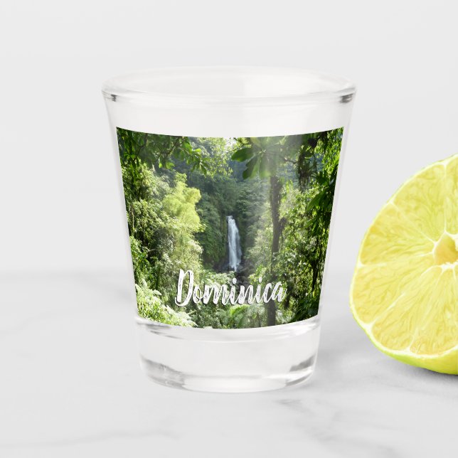 Verre A Shot Trafalgar Falls Tropical Rainforest Photographie (Devant)