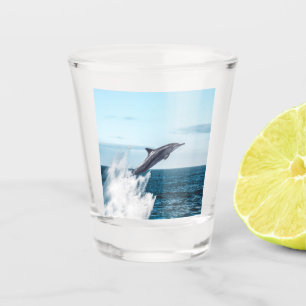 Verre A Shot Un dauphin saute de l'océan