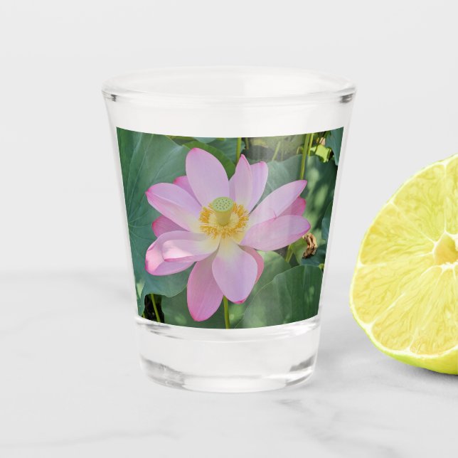 Verre A Shot Une fleur de lotus vibrante (Devant)