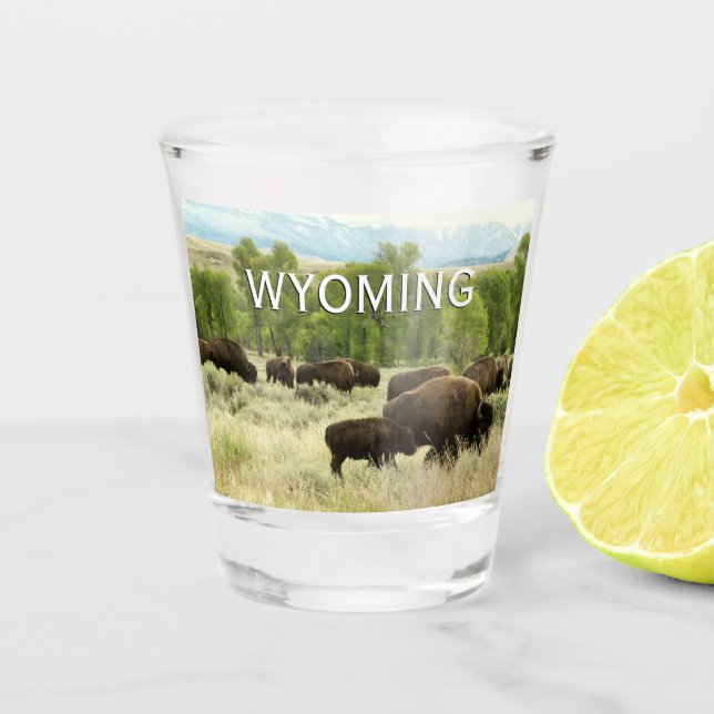 Verre A Shot Wyoming Bison Nature Animal Photographie (Devant)