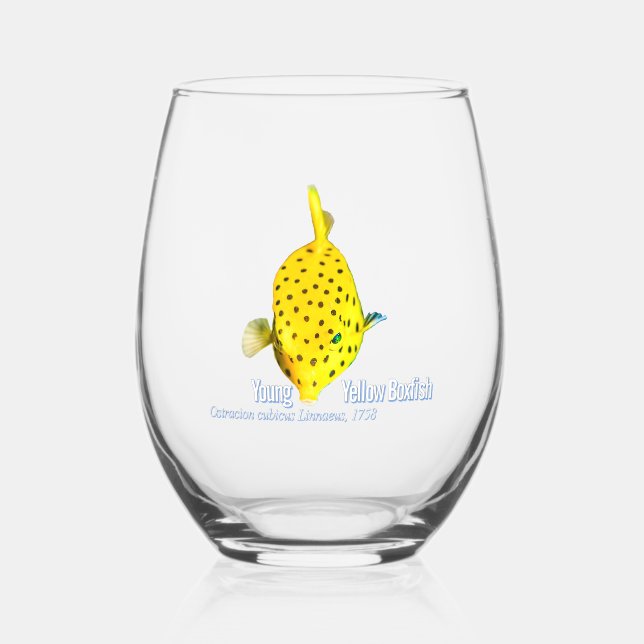 Verre À Vin Sans Pied Poisson jaune (Recto)