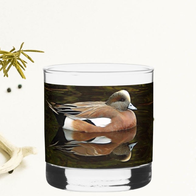 Verre À Whisky American Wigeon Duck on Pond (In Situ)