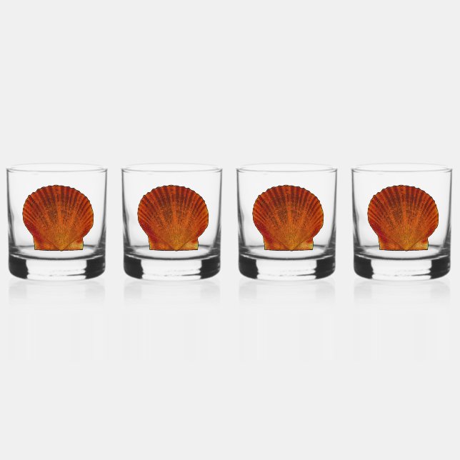 Verre À Whisky Coquille de coquille de saint-Jacques orange (Recto)