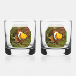 Verre À Whisky Poisson clown en anémone vert. Conception photogra
