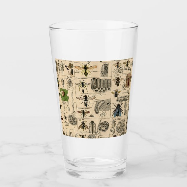 Verre Abeille Insecte Bug Wasp Nature Peinture des abeil (Devant)