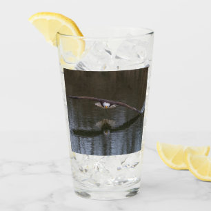 Verre Aigle de Bald en vol