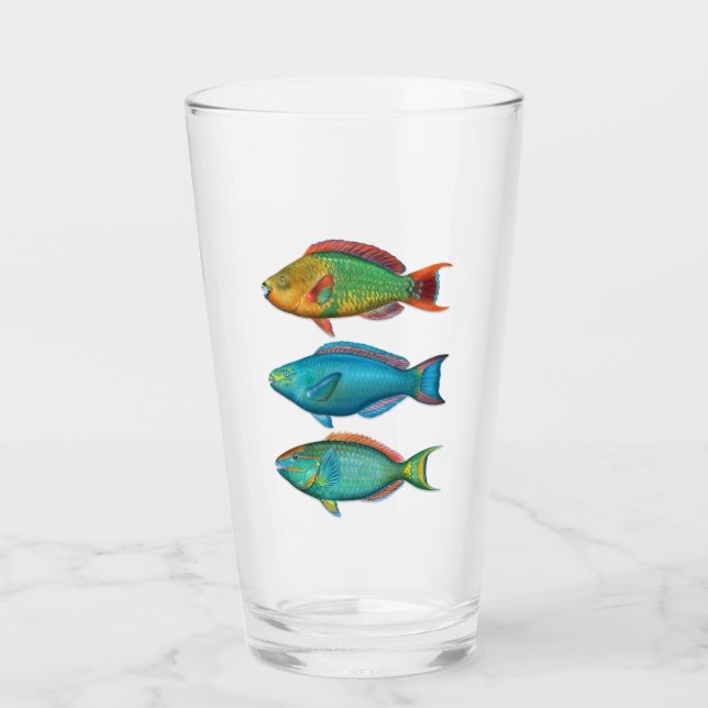 Verre arc-en-ciel, Queen et Stoplight Parrotfish (Devant)