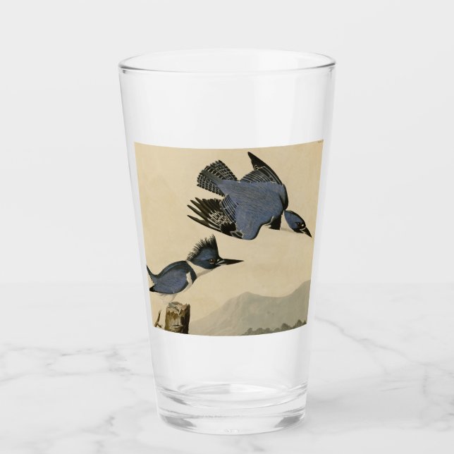 Verre Audubon Belted Kingfisher Wildlife Bird (Devant)