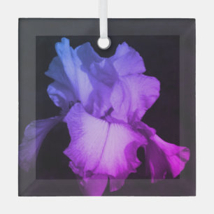 Verre Bright Purple Iris Photo Ornement en céramique