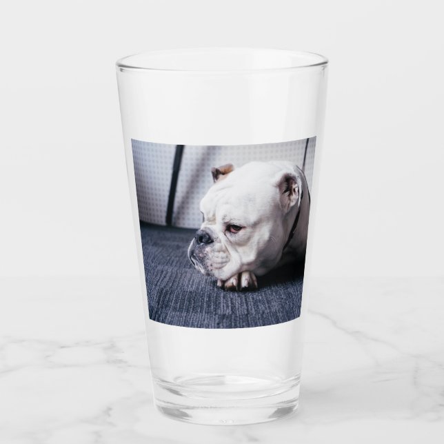 Verre bulldog (Devant)