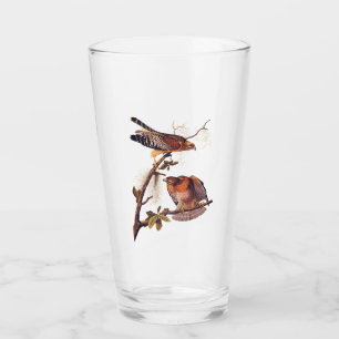 Verre Buse à épaulettes roux Audubon Oiseau de proie