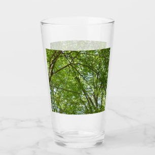 Verre Canopée du printemps Feuille Green Nature Scene