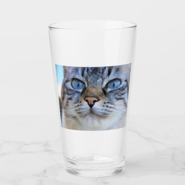 Verre Chat gris (Devant)