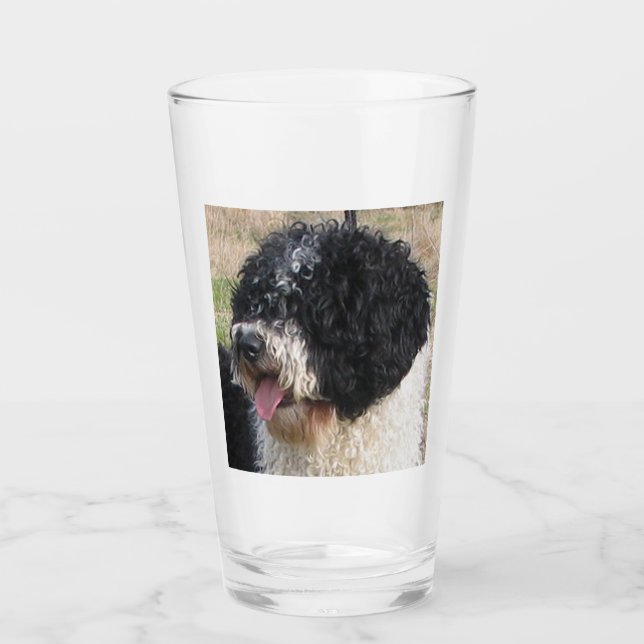Verre Chien d'eau espagnol (Devant)