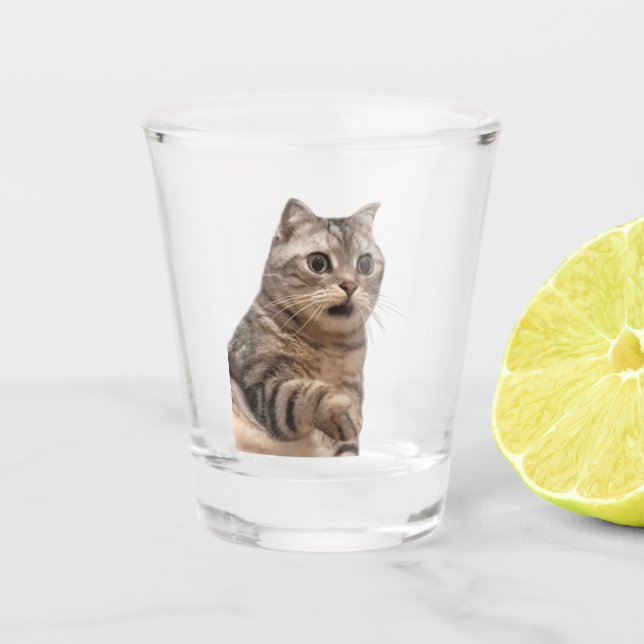 Verre Chocé Mème Chat (Devant)