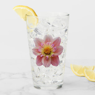 Verre Collarette rose Dahlia fleuri