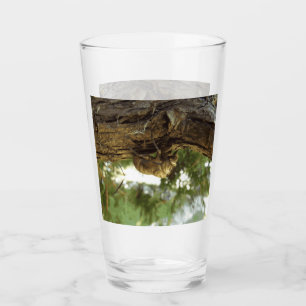 Verre Coquille de Canada. C'était pressé.