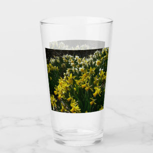 Verre Daffodiles jaunes et blancs Fleurs de printemps