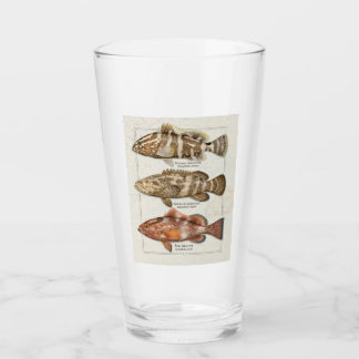 Verre de boisson Nassau, Goliath et Red Grouper