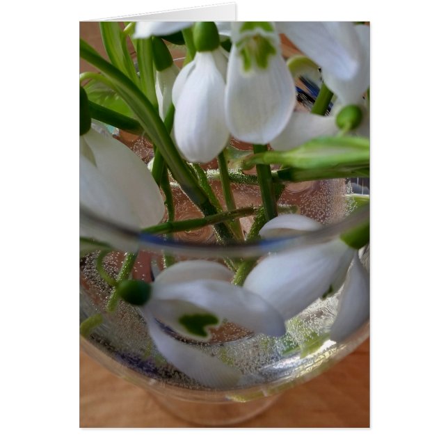 verre de drops (Devant)