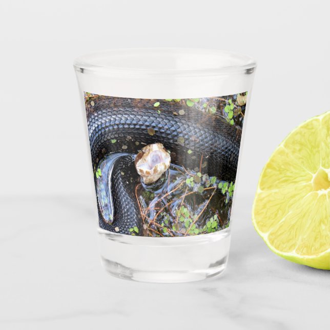 Verre de prise de serpent de coton (Devant)
