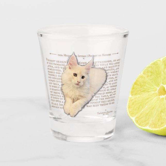 Verre de tir - crème Maine Coon chaton (Devant)