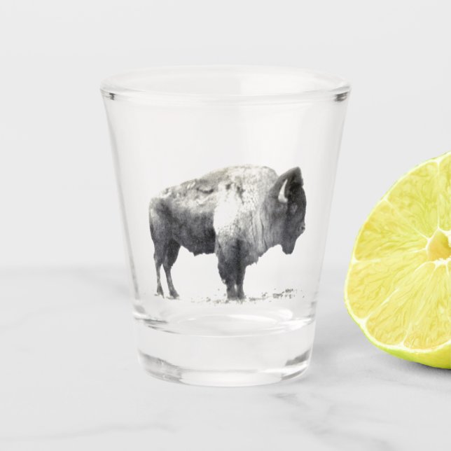 Verre de tir de bison américain (Devant)