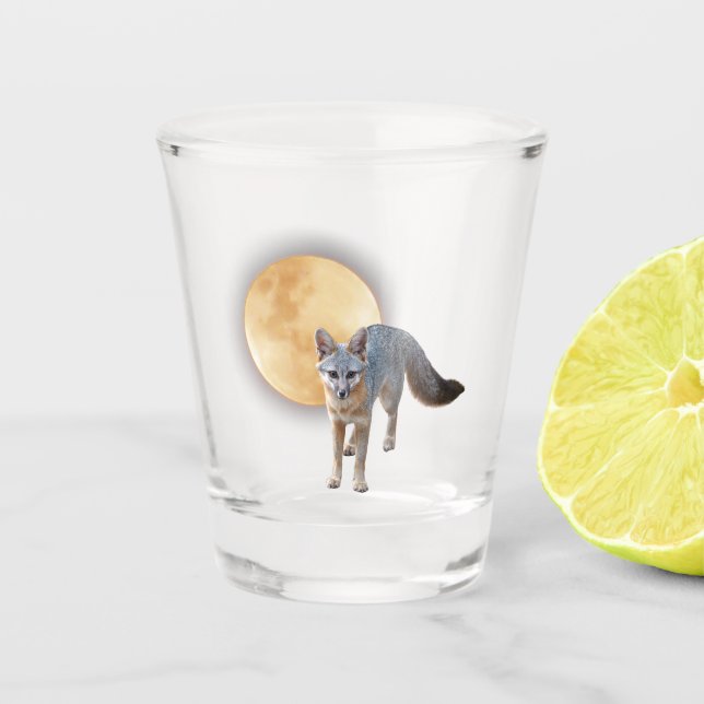 Verre de tir de la lune Fox (Devant)