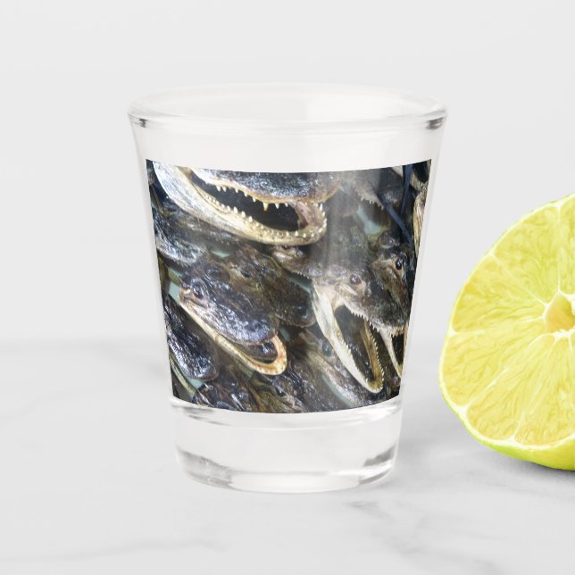 Verre de tir de l'alligator (Devant)
