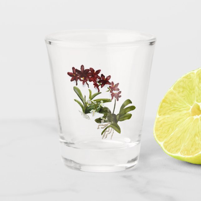 Verre de tir d'orchidée (Devant)