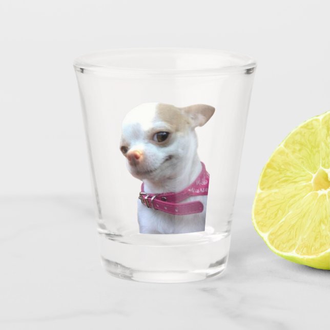 Verre de tir joli Chihuahua Chig mème (Devant)