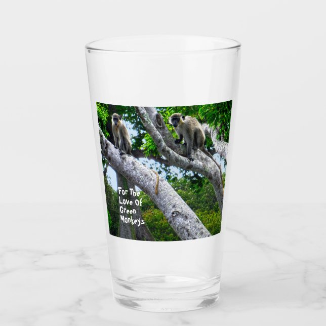 Verre des singes verts de la Barbade (Devant)