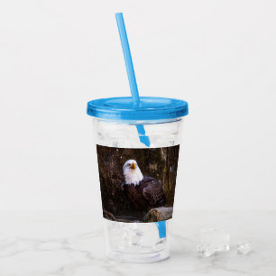 Verre En Acrylique Aigle de Bald