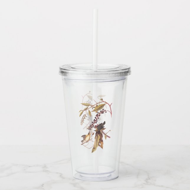 Verre En Acrylique Audubon Vin-Songbird, Paruline à Manger (Devant)