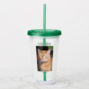 Verre En Acrylique Cat