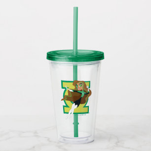 Verre En Acrylique DC Super Hero Girls Green Lantern