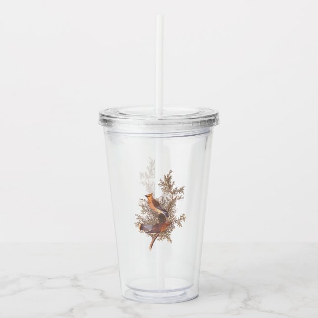Verre En Acrylique Écirage de cèdre Audubon Songbirds à Juniper (Devant)