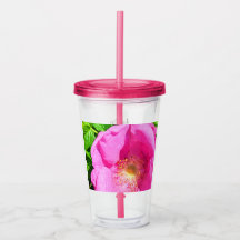 Foi de la photo rose sauvage dans la Bible Verse d