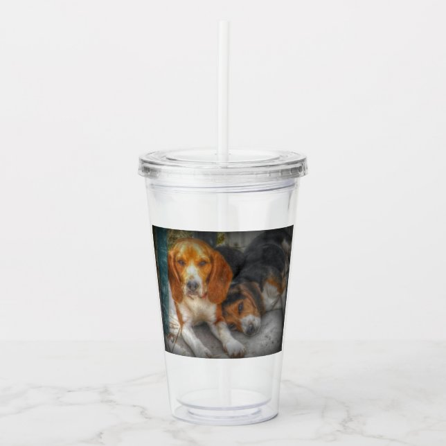 Verre En Acrylique Frères beagles (Devant)