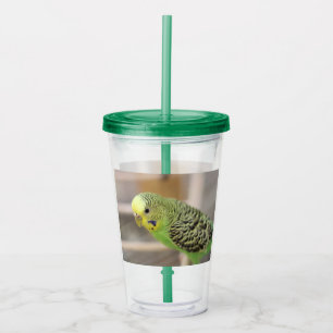 Verre En Acrylique Kiwi